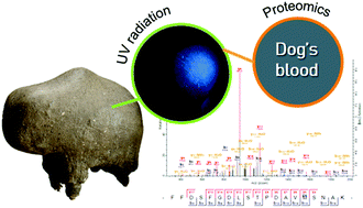 Characterization Of Surface Materials On African Sculptures New Insights From A Multi Analytical Study Including Proteomics Analyst Rsc Publishing