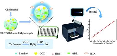 Glow-type chemiluminescent hydrogels for point-of-care testing (POCT ...