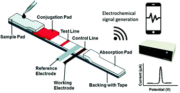 Integrated Electrochemical Lateral Flow Immunoassays ELFIAs Recent Advances Analyst RSC