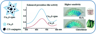 Carbon–nitrogen conjugate-composited Cu1.8S with enhanced peroxidase-like  activity for the colorimetric detection of hydrogen peroxide and glutathione 