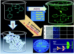 A bio-compatible pyridine–pyrazole hydrazide based compartmental ...