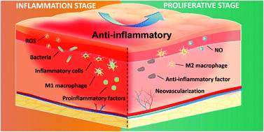 Antiinflammation biomaterial platforms for chronic wound healing