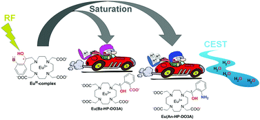 H Bonding And Intramolecular Catalysis Of Proton Exchange Affect The Cest Properties Of Euiii Complexes With Hp Do3a Like Ligands Chemical Communications Rsc Publishing