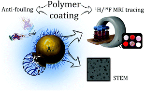 Antifouling Fluoropolymer Coated Nanomaterials For 19f Mri Chemical Communications Rsc Publishing