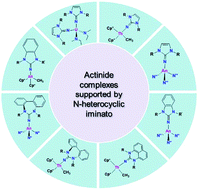 Recent Developments In Highly Basic N Heterocyclic Iminato Ligands In Actinide Chemistry Chemical Communications Rsc Publishing