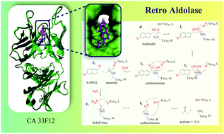 A Qm Mm Study On The Origin Of Retro Aldolase Activity Of A Catalytic Antibody Chemical Communications Rsc Publishing