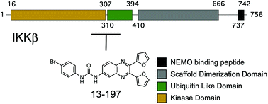 Small molecule binding to inhibitor of nuclear factor kappa-B kinase  subunit beta in an ATP non-competitive manner - Chemical Communications  (RSC Publishing)