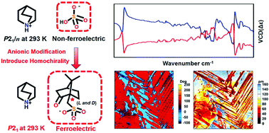 Homochiral Anionic Modification Toward The Chemical Design Of Organic Enantiomeric Ferroelectrics Chemical Communications Rsc Publishing