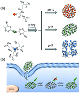 Highly luminescent gold nanocluster assemblies for bioimaging in living ...