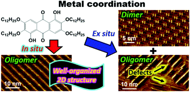 その他 RsC Well-organised two-dimensional self-assembly controlled by in situ