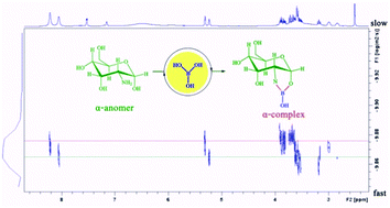 Boron-Carbohydrate Interactions