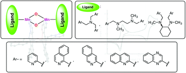 Structure And Electrochemical Properties Of M O 2mn2 Iii Iii And M O 2mn2 Iii Iv Complexes Supported By Pyridine Quinoline Isoquinoline And Quinoxaline Based Tetranitrogen Ligands Dalton Transactions Rsc Publishing