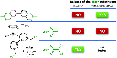 Unexpected Solution Behaviour Of Ester Functionalized Half Sandwich Ru Ii And Ir Iii Complexes Dalton Transactions Rsc Publishing