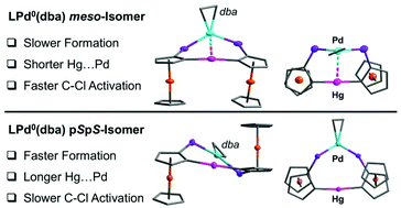 Palladium 0 Complexes Of Diferrocenylmercury Diphosphines Synthesis X Ray Structure Analyses Catalytic Isomerization And C Cl Bond Activation Dalton Transactions Rsc Publishing