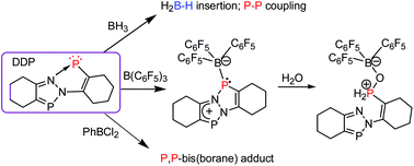 Interaction Of Dicoordinate Phosphorus With Boranes Chemistry Of 3a 6a Diaza 1 4 Diphosphapentalene As Masked Phosphinidene Dalton Transactions Rsc Publishing