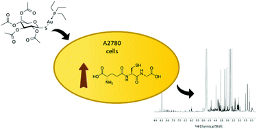 glutathione breastfeeding reddit NMR reveals the metabolic changes induced by auranofin in A2780 cancer cells:  evidence for glutathione dysregulation