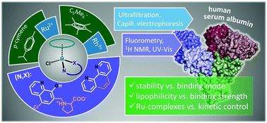 Critical Factors Affecting The Albumin Binding Of Half Sandwich Ru Ii And Rh Iii Complexes Of 8 Hydroxyquinolines And Oligopyridines Dalton Transactions Rsc Publishing