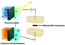 Synergy Of Light And Acid Base Reaction In Energy Conversion Based On Cellulose Nanofiber Intercalated Titanium Carbide Composite Nanofluidics Energy Environmental Science Rsc Publishing