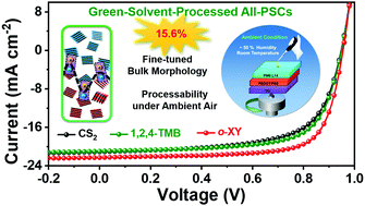 Achieving Highly Efficient All Polymer Solar Cells By Green Solvent Processing Under Ambient Atmosphere Energy Environmental Science Rsc Publishing