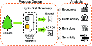 Techno Economic Analysis And Life Cycle Assessment Of A Biorefinery Utilizing Reductive Catalytic Fractionation Energy Environmental Science Rsc Publishing