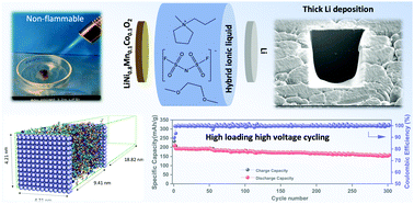 Interphase control for high performance lithium metal batteries using ether  aided ionic liquid electrolyte - Energy & Environmental Science (RSC  Publishing)