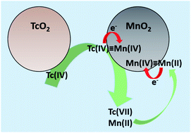 TcO2 oxidative dissolution by birnessite under anaerobic conditions: a ...