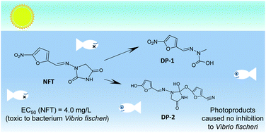 Effects Of Environmental Factors On Nitrofurantoin Photolysis In Water And Its Acute Toxicity Assessment Environmental Science Processes Impacts Rsc Publishing