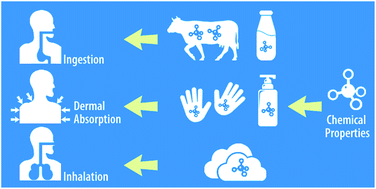 Emerging Investigator Series The Role Of Chemical Properties In Human Exposure To Environmental Chemicals Environmental Science Processes Impacts Rsc Publishing