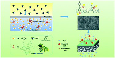 A Facile And Economic Route Assisted By Trace Tannic Acid To Construct A High Performance Thin Film Composite Nf Membrane For Desalination Environmental Science Water Research Technology Rsc Publishing