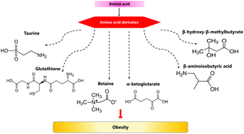 how to use l carnitine for weight loss Amazon.com: EVL L-Carnitine Supplement for Weight Loss Support - L Carnitine  Tartrate for Cellular Energy Focus Endurance and Fat Burning Support