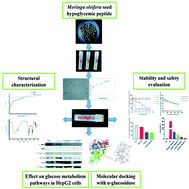 Characterization of the structure, stability, and activity of ...