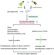 Protective effects of camellia and olive oils against cognitive ...