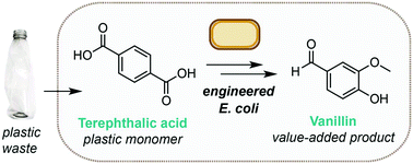 Microbial Synthesis Of Vanillin From Waste Poly Ethylene Terephthalate Green Chemistry Rsc Publishing