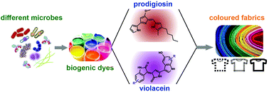 Biogenic colourants in the textile industry – a promising and ...