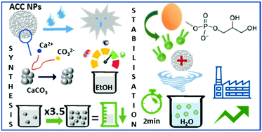 Eco-friendly processes for the synthesis of amorphous calcium carbonate  nanoparticles in ethanol and their stabilisation in aqueous media - Green  Chemistry (RSC Publishing)