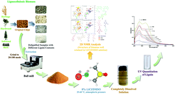 lignocellulosic biomass