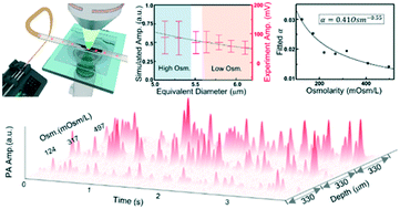 Real-time red blood cell counting and osmolarity analysis using a