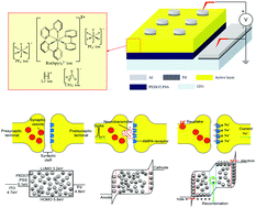 Emulating the short-term plasticity of a biological synapse with a  ruthenium complex-based organic mixed ionic–electronic conductor -  Materials Advances (RSC Publishing)