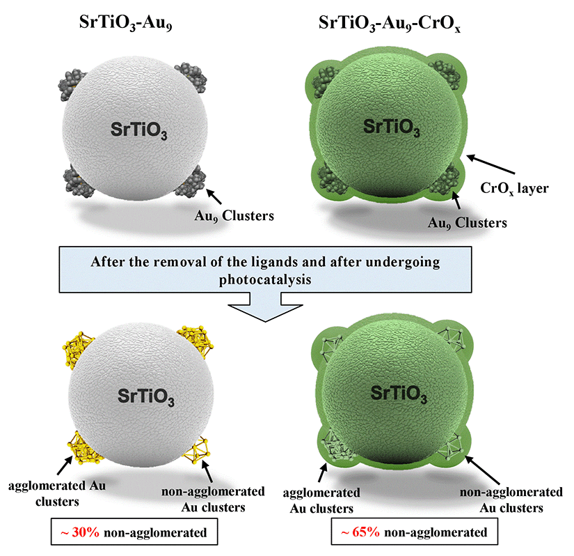 記載追加しました Adjuvant Ｃ BASE 【セルベース【改変前名称