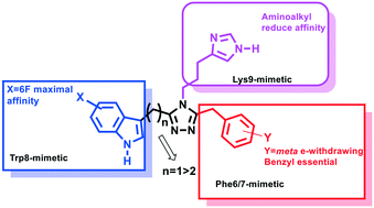 Synthesis of 3,4,5-Trisubstituted-1,2,4-triazoles