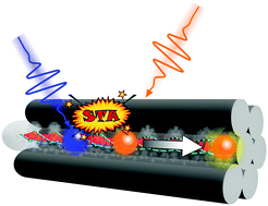 All-optical manipulation of singlet exciton transport in particular person supramolecular nanostructures by triplet gating
