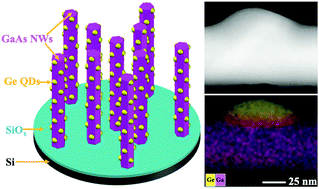 Thermally-driven formation methodology for rising (quantum) dots on sidewalls of self-catalysed skinny nanowires