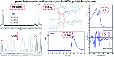 Phosphorus Nitrogen Compounds Part 54 Syntheses Of Chiral Amino 4 Fluorobenzyl Spiro N O Cyclotriphosphazenes Structural And Stereogenic Properties New Journal Of Chemistry Rsc Publishing