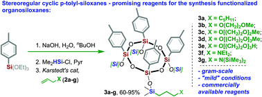 Stereoregular Cyclic P Tolyl Siloxanes With Alkyl O And N Containing Groups As Promising Reagents For The Synthesis Of Functionalized Organosiloxanes New Journal Of Chemistry Rsc Publishing