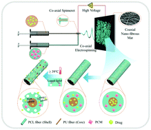 A Tunable Temperature-responsive And Tough Platform For Controlled Drug ...