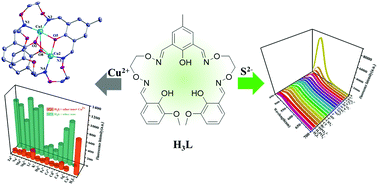 A highly efficient yet stable salamo-type fluorescent chemosensor with ...