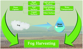 Research progress of bionic fog collection surfaces based on special  structures from natural organisms - RSC Advances (RSC Publishing)  DOI:10.1039/D3RA04253G