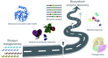 A Roadmap For Metagenomic Enzyme Discovery Natural Product Reports Rsc Publishing