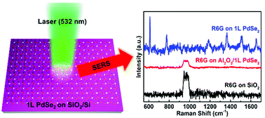 Enhanced Raman scattering on two-dimensional palladium diselenide -  Nanoscale (RSC Publishing)