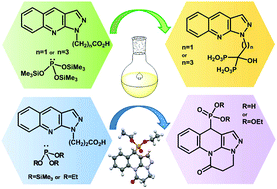 Four-Component Domino Synthesis of  Pyrazolo[3,4-h]quinoline-3-carbonitriles: “Turn-Off” Fluorescent  Chemosensor for Fe3+ Ions